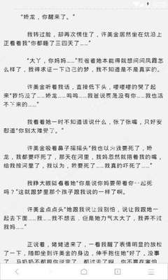 在菲律宾补办好了护照直接出境会有什么影响